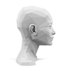 3d head