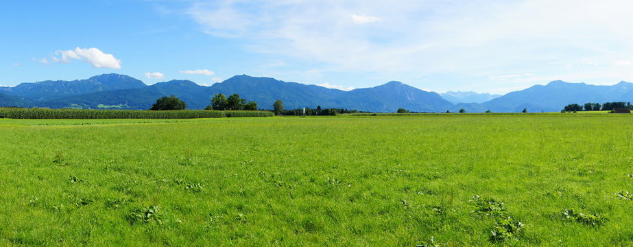 Berge und gr&uuml;ne Wiese Panorama