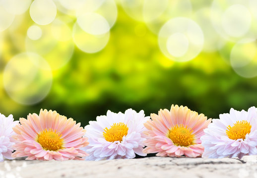 Flower background