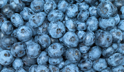 blueberries