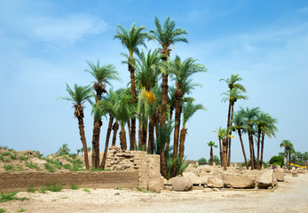Africa, Egypt, Luxor, Karnak temple