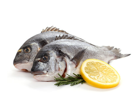 Two seabream with lemon slice and rosemary