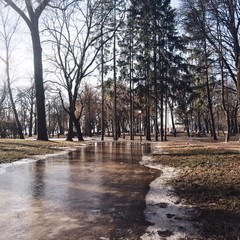 frozen puddle reflection