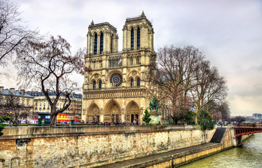 Fototapeta na wymiar View of the Notre Dame de Paris cathedral - France