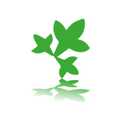 green leaves icon
