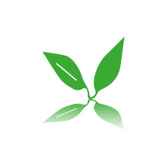 green leaves icon