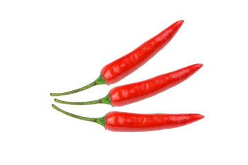 Red chili  isolated on white background