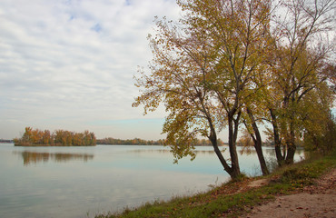 Obraz premium Autumn Trees on Lake Shore