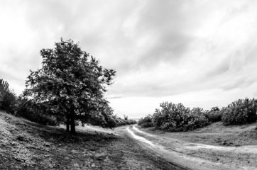 Cabo Pulmo bay scenics. Baja California sur, Mexico.