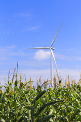 Wind Turbine for alternative energy on background blue  sky .