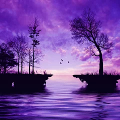 Fotobehang Violet Prachtig landschap met vogels