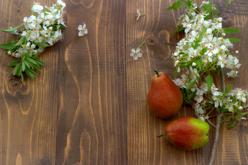 Pear and blossom branch on wooden board. Flowering Pear.