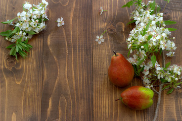 Pear and blossom branch on wooden board. Flowering Pear.