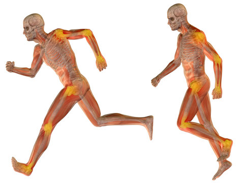 3D human man pain anatomy isolated