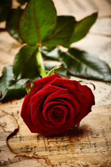 Czerwona róża na nutach w stylu retro - obrazy, fototapety, plakaty