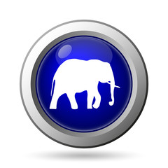 Elephant icon