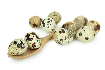 Obraz premium quail eggs in a wooden spoon