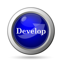 Develop icon