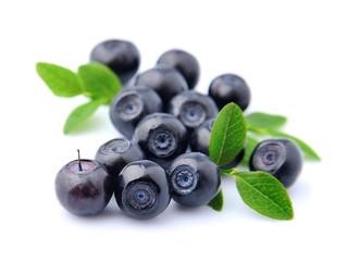 Blueberries with leaves