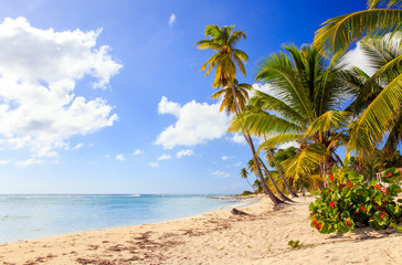 Fototapeta na wymiar Caribbean beach in Dominican Republic