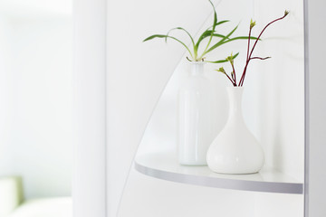 white vases with plants indoor