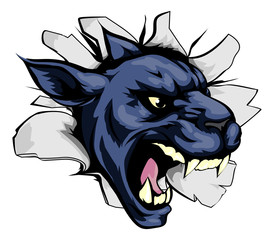 Naklejka premium Panther sports mascot breakthrough