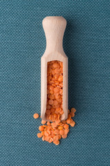 Wooden scoop with  peeled lentils