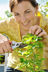 Frau bei Pflanzenpflege und Gartenarbeit