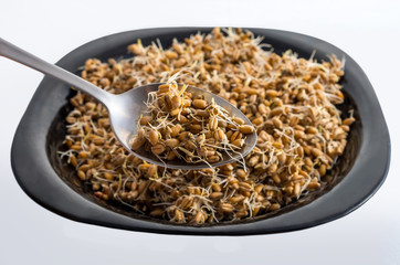 Wheat germ in the plate