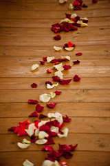 Petals on the wood flour