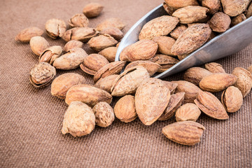 Almonds in shell on wooden table