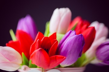 Obraz na płótnie Canvas Bunch of tulips
