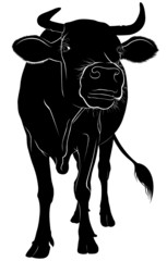 Cow