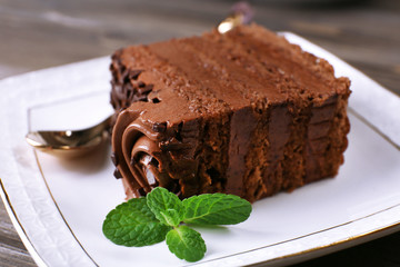 Tasty piece of chocolate cake with mint