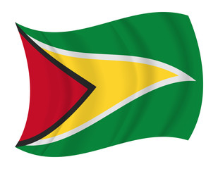 Guyana flag waving vector