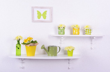 Flower on shelves on white wall background