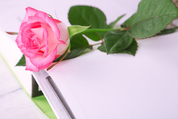 Open book with rose, closeup