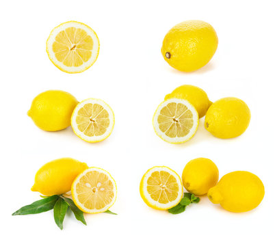 Set of Lemon citrus fruits