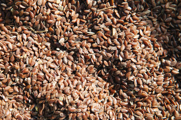 Grain