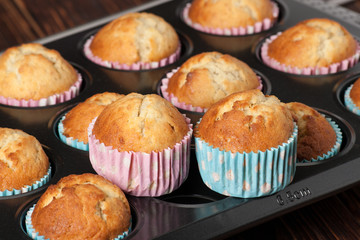 Plain Cupcakes In Baking Tray