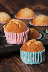 Plain Cupcakes In Baking Tray