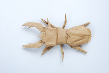 bug origami view from the top