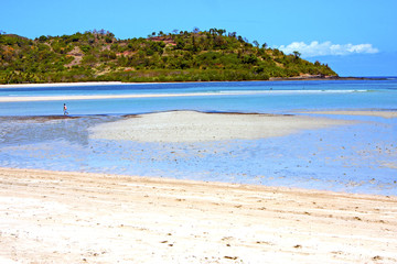 beautiful andilana beach seaweed in indian