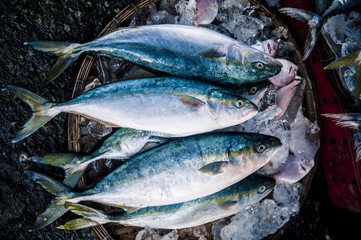 Mercato di Hue, Vietnam