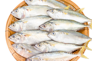 fresh mackerel fish in basket on white background