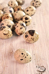 Quail eggs