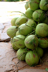 fresh coconut