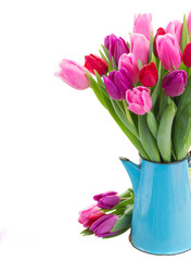 bouquet of  red and purple  tulip flowers
