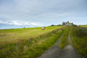 Fototapeta na wymiar Scottish green landscape, farm in Orkney Island
