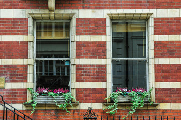 Fototapeta na wymiar ロンドン　アパートメントの窓